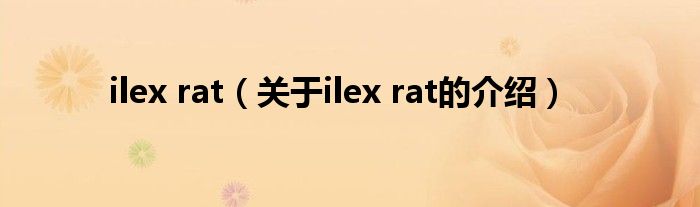 ilex rat（关于ilex rat的介绍）