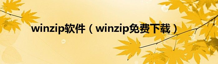 winzip软件（winzip免费下载）