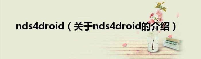 nds4droid（关于nds4droid的介绍）