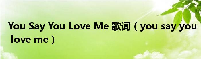 You Say You Love Me 歌词（you say you love me）