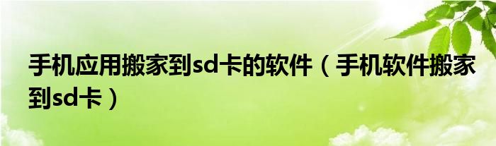 手机应用搬家到sd卡的软件（手机软件搬家到sd卡）