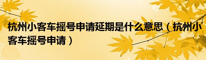 杭州小客车摇号申请延期是什么意思（杭州小客车摇号申请）