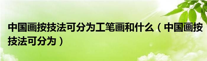 中国画按技法可分为工笔画和什么（中国画按技法可分为）