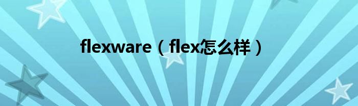 flexware（flex怎么样）