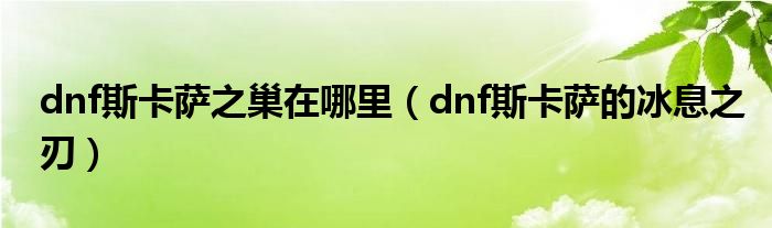 dnf斯卡萨之巢在哪里（dnf斯卡萨的冰息之刃）