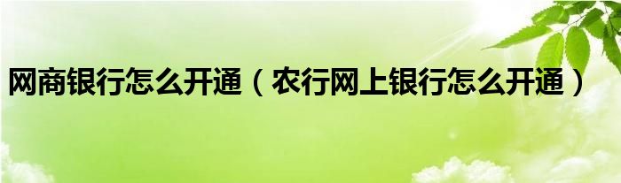 网商银行怎么开通（农行网上银行怎么开通）