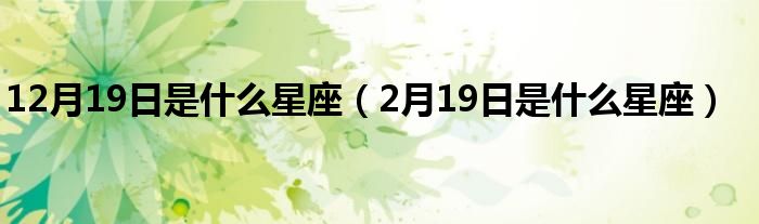 12月19日是什么星座（2月19日是什么星座）