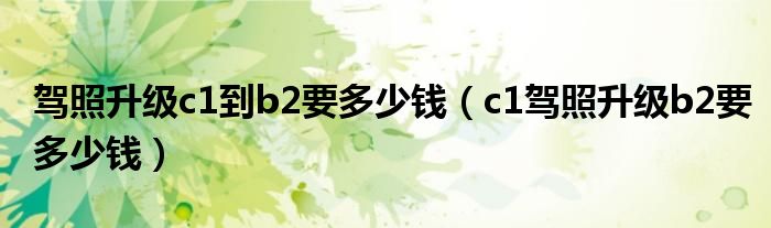 驾照升级c1到b2要多少钱（c1驾照升级b2要多少钱）