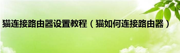 猫连接路由器设置教程（猫如何连接路由器）