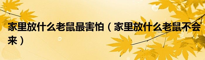 家里放什么老鼠最害怕（家里放什么老鼠不会来）