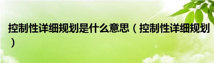 控制性详细规划是什么意思（控制性详细规划）