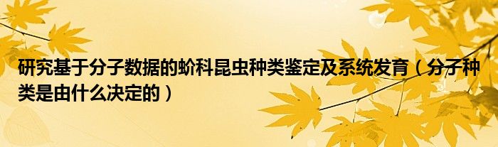 研究基于分子数据的蚧科昆虫种类鉴定及系统发育（分子种类是由什么决定的）