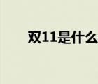 双11是什么时间算起（双11是什么）