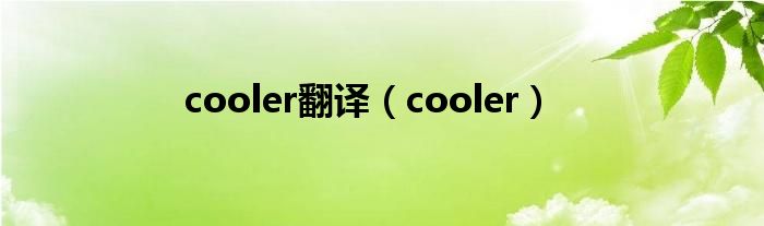 cooler翻译（cooler）