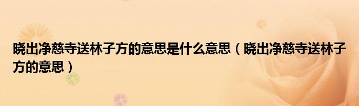 晓出净慈寺送林子方的意思是什么意思（晓出净慈寺送林子方的意思）