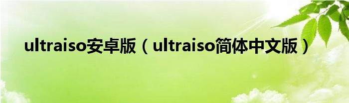 ultraiso安卓版（ultraiso简体中文版）