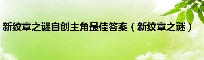 新纹章之谜自创主角最佳答案（新纹章之谜）