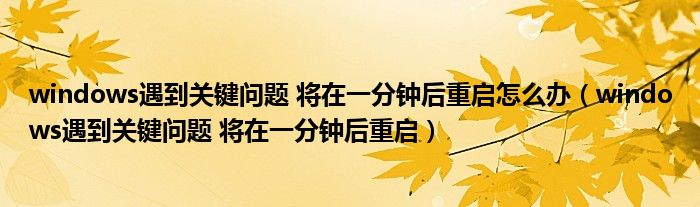 windows遇到关键问题 将在一分钟后重启怎么办（windows遇到关键问题 将在一分钟后重启）