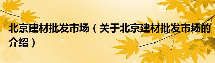 北京建材批发市场（关于北京建材批发市场的介绍）