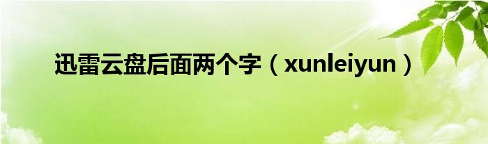 迅雷云盘后面两个字（xunleiyun）