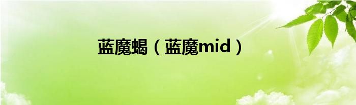 蓝魔蝎（蓝魔mid）