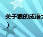 关于狼的成语大全100个（关于狼的成语大全）