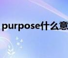 purpose什么意思中文（purpose什么意思）