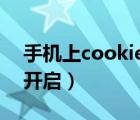 手机上cookies怎么开启（手机cookie怎么开启）