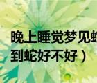 晚上睡觉梦见蛇是好事还是坏事（晚上做梦梦到蛇好不好）