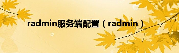 radmin服务端配置（radmin）