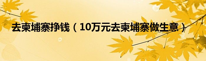 去柬埔寨挣钱（10万元去柬埔寨做生意）