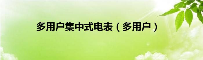 多用户集中式电表（多用户）