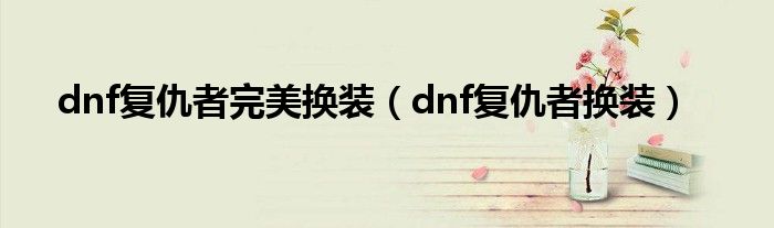 dnf复仇者完美换装（dnf复仇者换装）