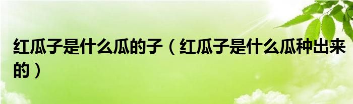 红瓜子是什么瓜的子（红瓜子是什么瓜种出来的）