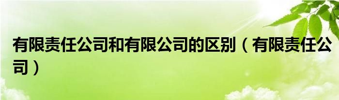 有限责任公司和有限公司的区别（有限责任公司）