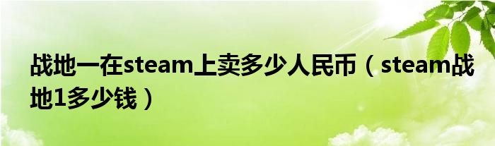 战地一在steam上卖多少人民币（steam战地1多少钱）