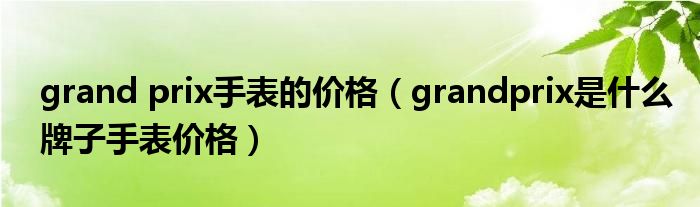 grand prix手表的价格（grandprix是什么牌子手表价格）