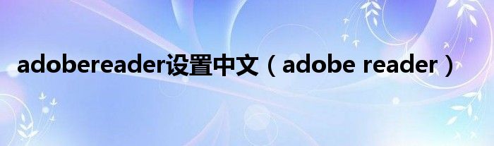 adobereader设置中文（adobe reader）