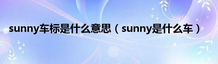 sunny车标是什么意思（sunny是什么车）