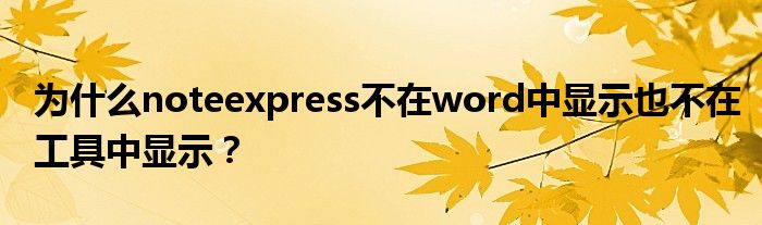 为什么noteexpress不在word中显示也不在工具中显示？