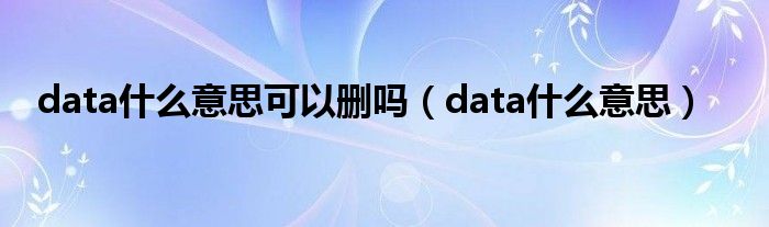 data什么意思可以删吗（data什么意思）