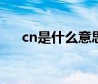 cn是什么意思啊英文（cn是什么意思）