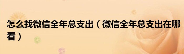 怎么找微信全年总支出（微信全年总支出在哪看）