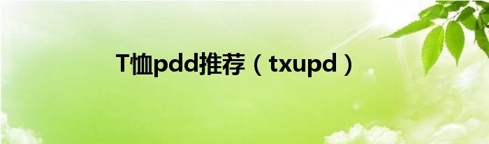 T恤pdd推荐（txupd）