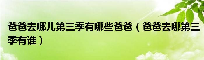 爸爸去哪儿第三季有哪些爸爸（爸爸去哪第三季有谁）