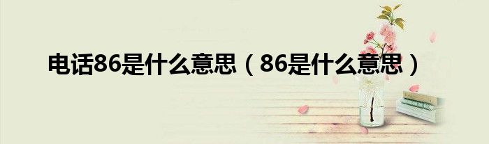 电话86是什么意思（86是什么意思）