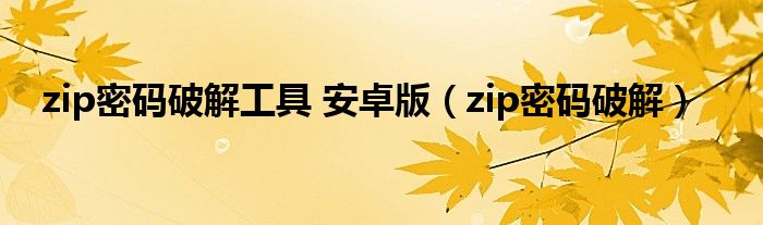 zip密码破解工具 安卓版（zip密码破解）