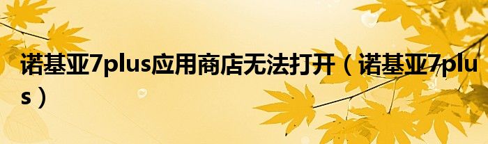 诺基亚7plus应用商店无法打开（诺基亚7plus）