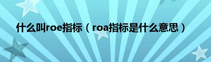 什么叫roe指标（roa指标是什么意思）