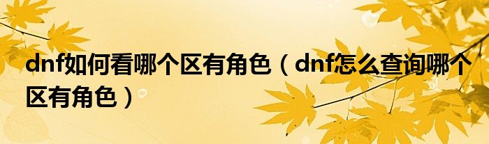 dnf如何看哪个区有角色（dnf怎么查询哪个区有角色）